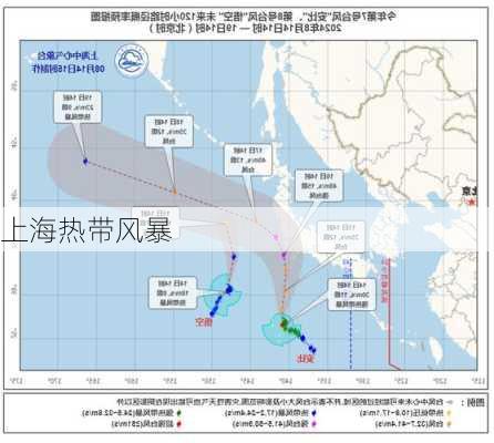 上海热带风暴