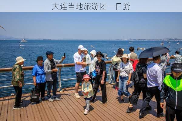 大连当地旅游团一日游