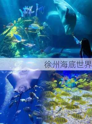 徐州海底世界