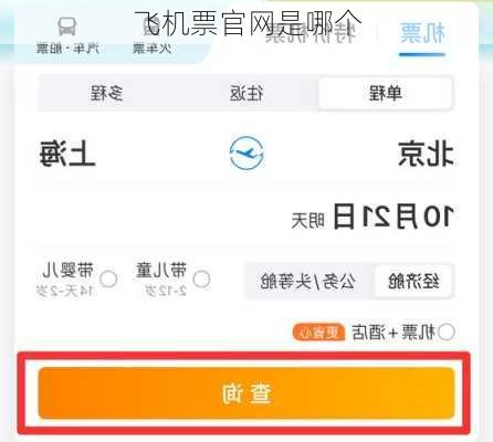 飞机票官网是哪个