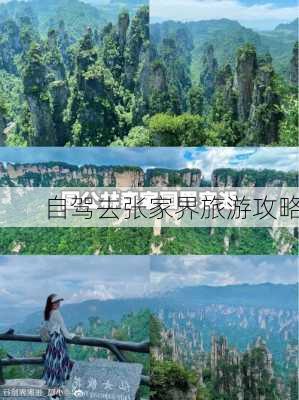 自驾去张家界旅游攻略