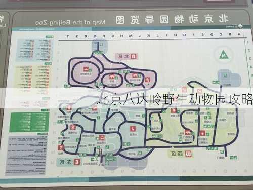 北京八达岭野生动物园攻略