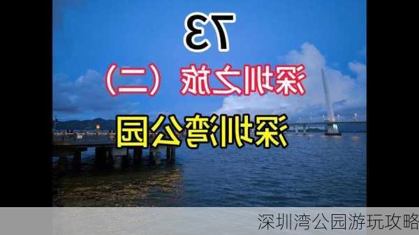 深圳湾公园游玩攻略