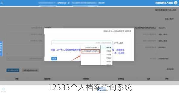 12333个人档案查询系统