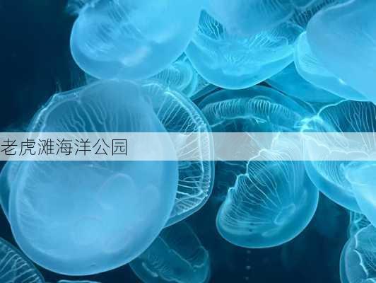 老虎滩海洋公园