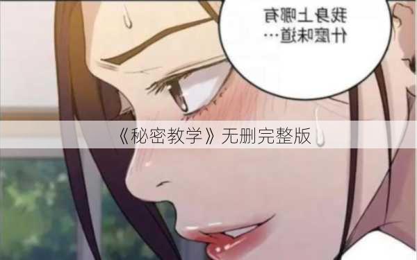 《秘密教学》无删完整版