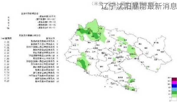 辽宁沈阳暴雨最新消息