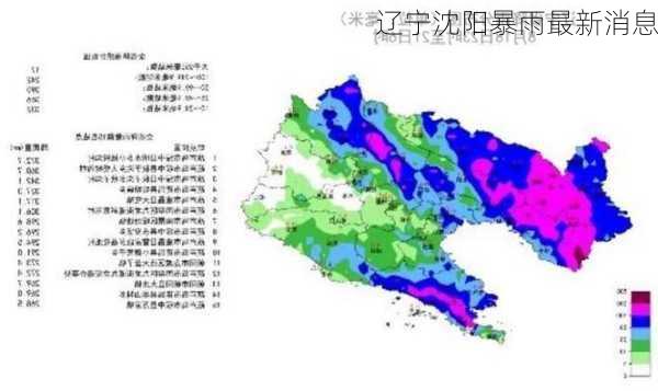 辽宁沈阳暴雨最新消息