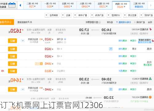 订飞机票网上订票官网12306