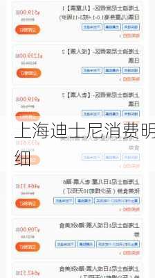 上海迪士尼消费明细