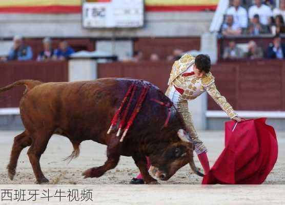 西班牙斗牛视频